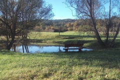 20161022_094019