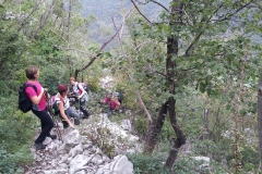 Sabotin_26-09-2015 (2)