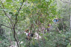 Sabotin_26-09-2015 (4)