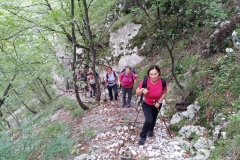 Sabotin_26-09-2015 (8)