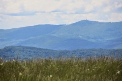 Srečanje_Vremščica_24-05 (78)