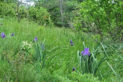 Srečanje_Vremščica_24-05 (89)