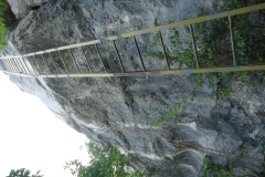 DSC08490