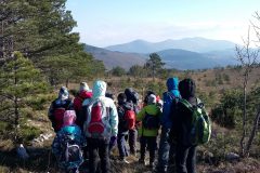 Kojnik_izbor (9)