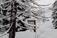 20180102_094926