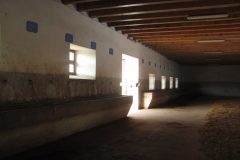 IMG_0944_711x533
