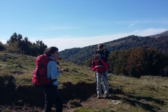 Matajur 30.9 (28)