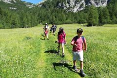 IMG_20190630_102833
