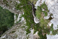20170716_152335