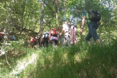 Poldnik (12)