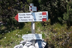 Poldnik (40)