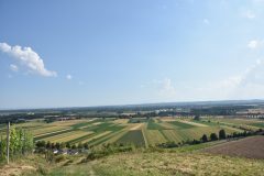 DSC_1443