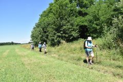 DSC_1464