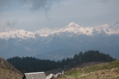 IMG_1259