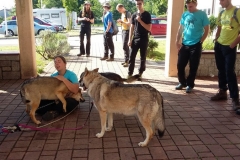 Photo  (2)