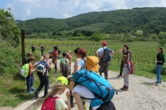 Srečanje mladih MDOP (62)