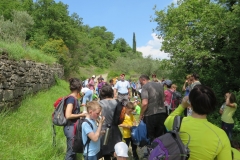 Srečanje mladih MDOP (73)