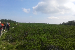 20180616_100651