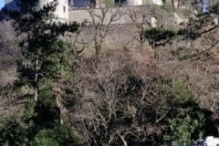 IMG_20190115_122857