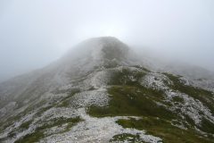 Objava (170)