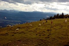 Storžič-5