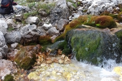 Triglav_Dragica (15)