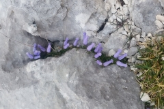 Triglav_Edi (48)