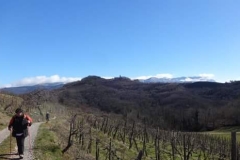 FB_IMG_1488186979885