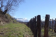 FB_IMG_1488186986214