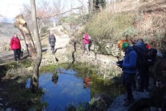 FB_IMG_1488187031723