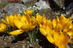 FB_IMG_1488187088664