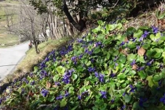 FB_IMG_1488187091539