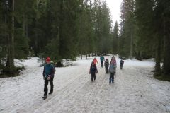 Zimovanje Pokljuka (104)