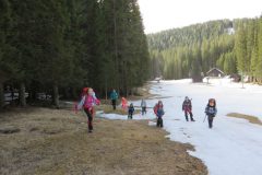 Zimovanje Pokljuka (106)