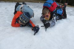 Zimovanje Pokljuka (109)
