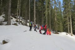 Zimovanje Pokljuka (119)