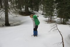 Zimovanje Pokljuka (122)