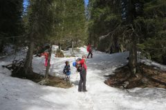 Zimovanje Pokljuka (126)