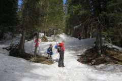 Zimovanje Pokljuka (130)