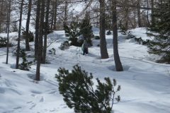 Zimovanje Pokljuka (141)