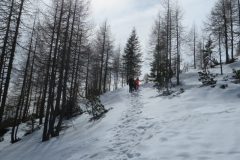 Zimovanje Pokljuka (143)