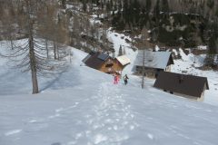 Zimovanje Pokljuka (146)