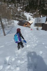 Zimovanje Pokljuka (148)