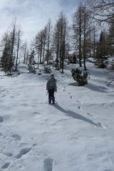 Zimovanje Pokljuka (153)