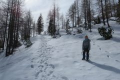 Zimovanje Pokljuka (160)