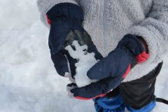 Zimovanje Pokljuka (181)