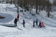 Zimovanje Pokljuka (194)