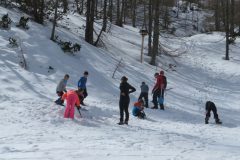 Zimovanje Pokljuka (201)