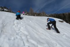 Zimovanje Pokljuka (204)