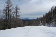 Zimovanje Pokljuka (212)